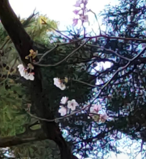 InCollage_20230925_081741346