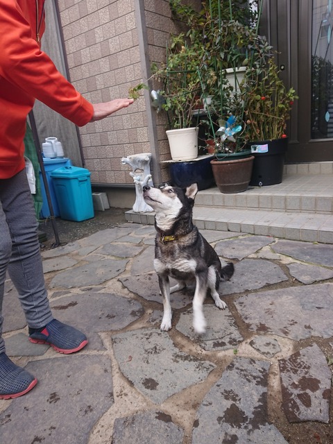 DSCPDC_0003_BURST20191128095917190_COVER