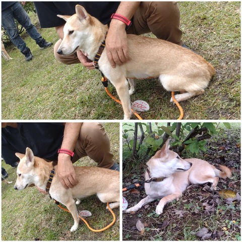 InCollage_20231128_155914663