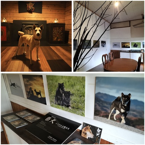 InCollage_20230923_210027463