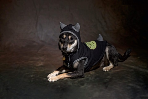 received_2672569609650211