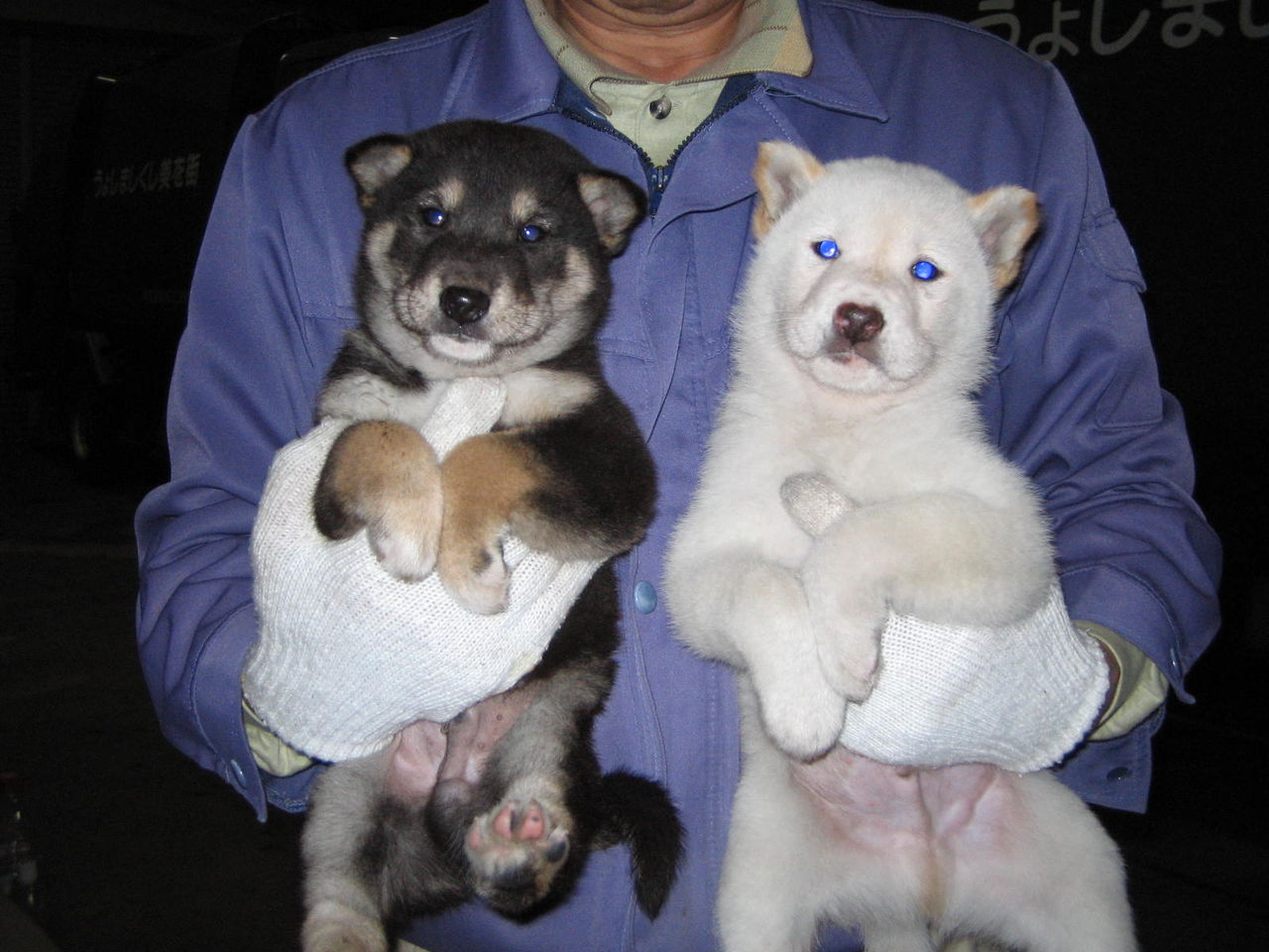 イメージ 2