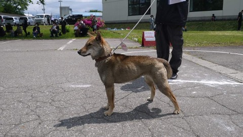 FB_IMG_1653974122477