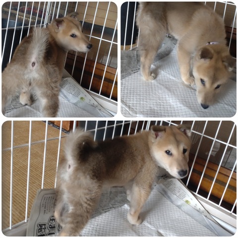 InCollage_20250323_141135783