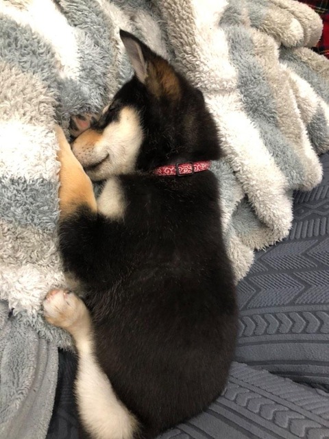 IMG_20241208_075216_509