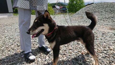 DSCPDC_0001_BURST20190610115655060_COVER