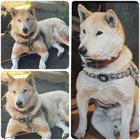 InCollage_20240216_210239674