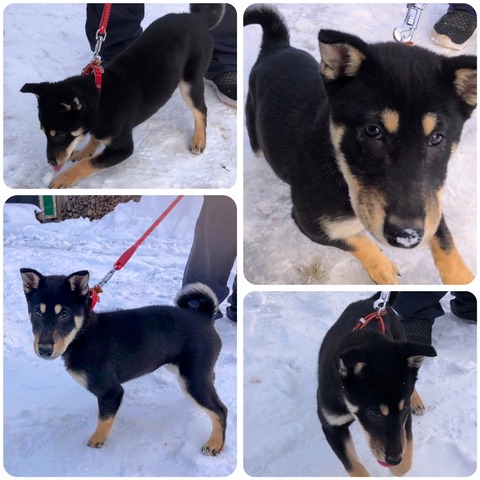 InCollage_20250115_200759309