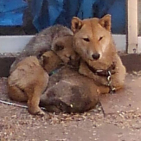 inCollage_20210429_160325236