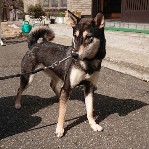 inCollage_20210320_195745271