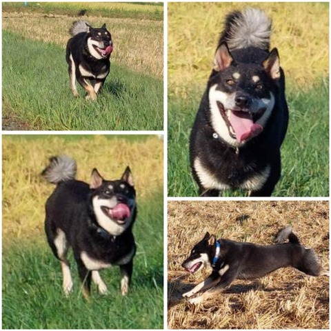 InCollage_20230923_212337031