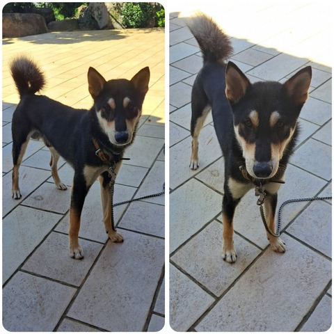 InCollage_20240727_095436100