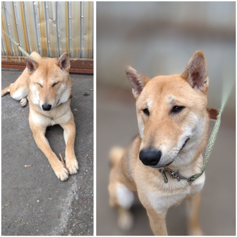 InCollage_20230326_095626846