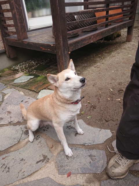 DSCPDC_0001_BURST20191128095517038_COVER