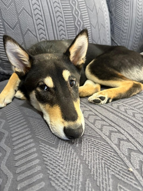 IMG_20250328_082432_571