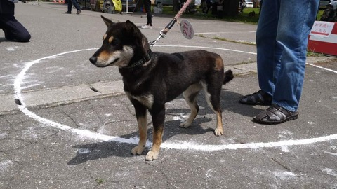 FB_IMG_1653974158026