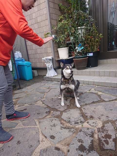 DSCPDC_0003_BURST20191128095921951_COVER