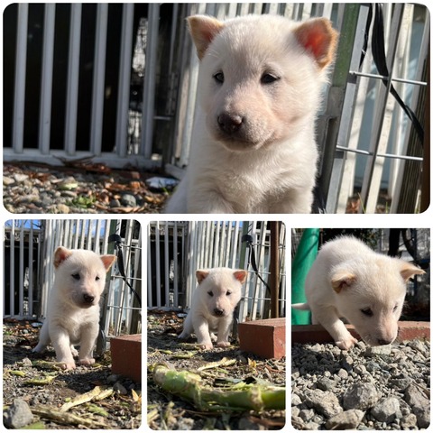 InCollage_20240128_170453820