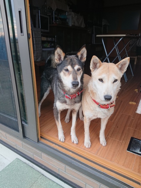 DSCPDC_0000_BURST20200226155025265