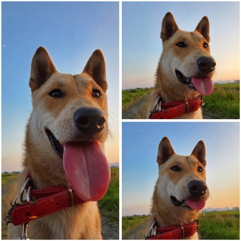 InCollage_20230726_152358130