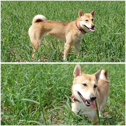 InCollage_20230923_213034423