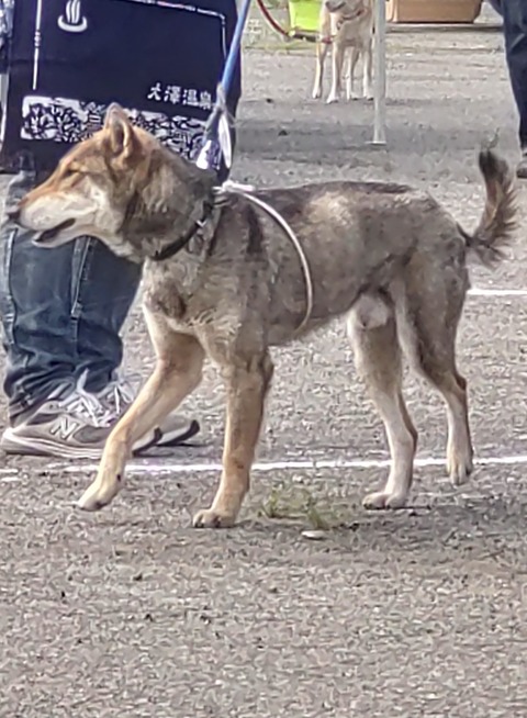 DSC_2995~2