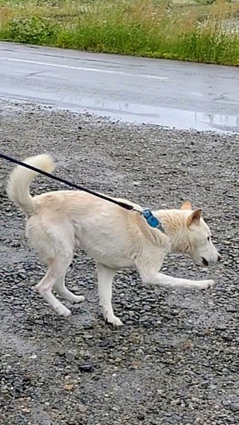 MOV_0875_exported_50331~2