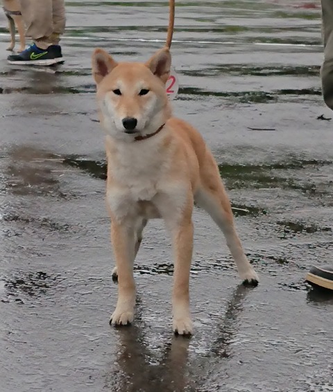 inCollage_20210524_123850917