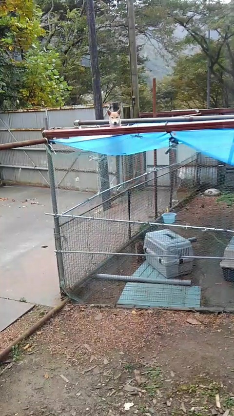 LINE_MOVIE_1603322613753_000000