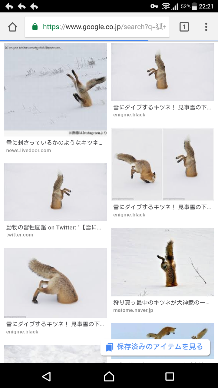 キツネが刺さってる画像下さい 動物系まとめ キツネが刺さってる画像下さい 動物系まとめ