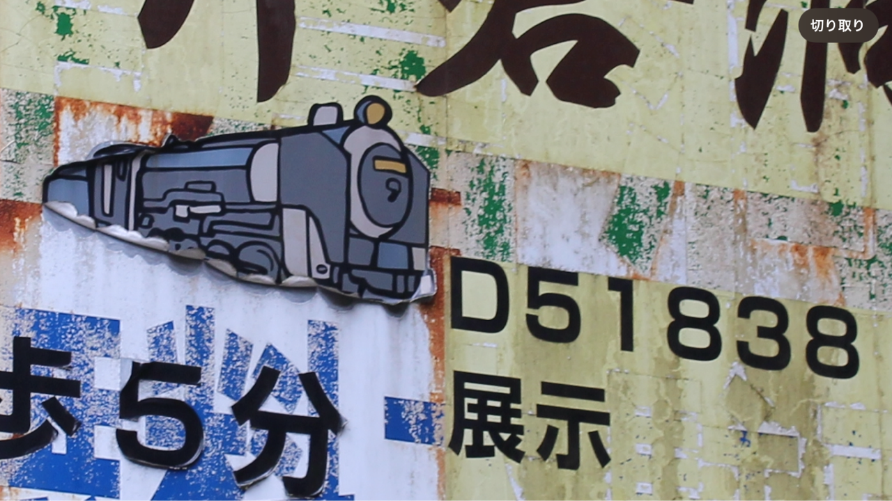 井倉のヌシ D51-838 : いまを生きる電車たち 井倉のヌシ D51-838 : いまを生きる電車たち