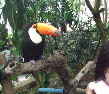 forgelpark4