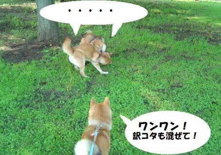 ワンワンワン
