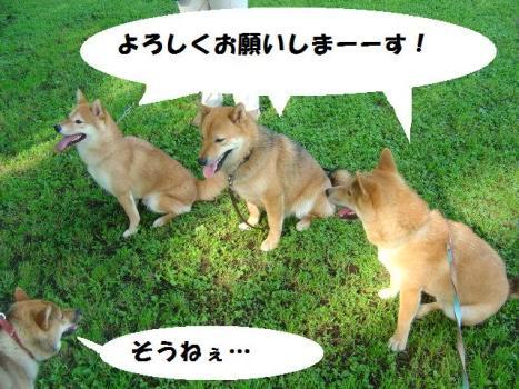 合コン?