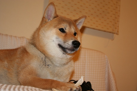 ���ե��ξ壱