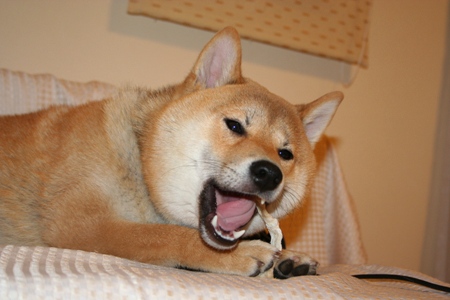 ���ե���