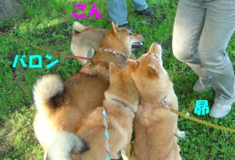 割り込みコタ