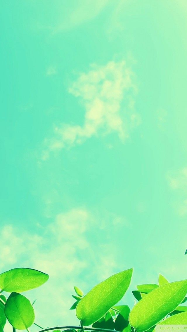 Iphone5用壁紙 １５ Iphone6 5 ホーム画面 待ち受け 壁紙 画像 置き場