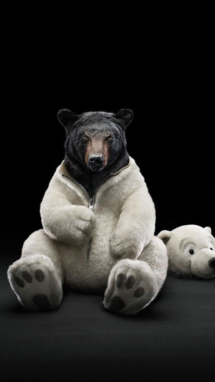 ポンデライオン 壁紙 Hdの壁紙画像をダウンロードする