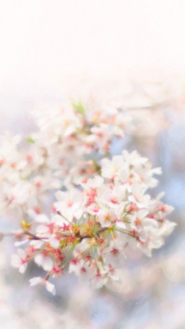 Iphone5 5s 5c用壁紙 ５８ Iphone6 5 ホーム画面 待ち受け 壁紙 画像 置き場