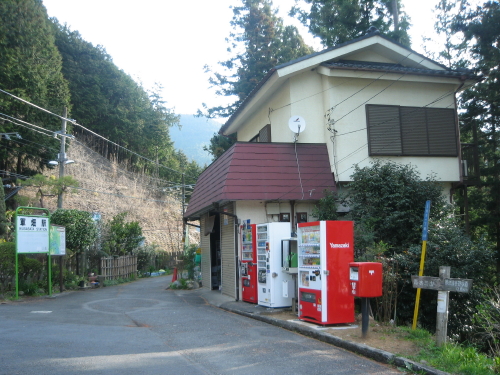 高水山 四川赤熊猫の一日