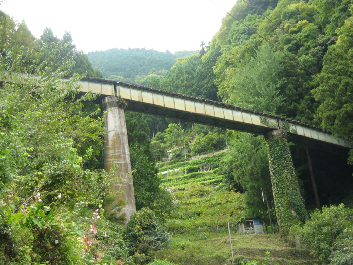 奥多摩むかし道 不動の上滝 しだくら橋 四川赤熊猫の一日