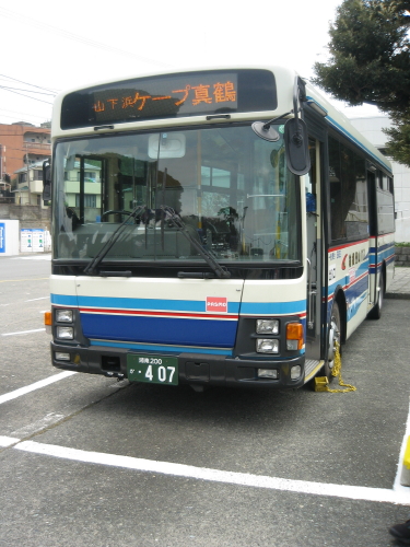 真鶴岬 四川赤熊猫の一日