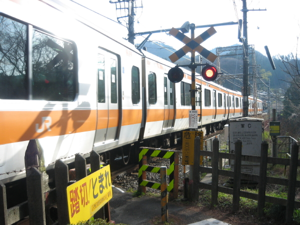 高水山 四川赤熊猫の一日