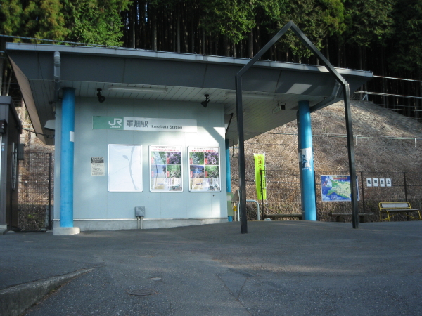 高水山 四川赤熊猫の一日