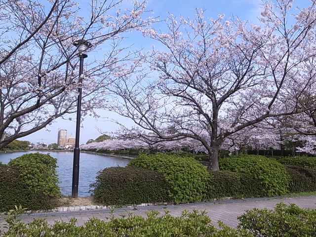 RIMG0029