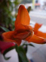 R0011475