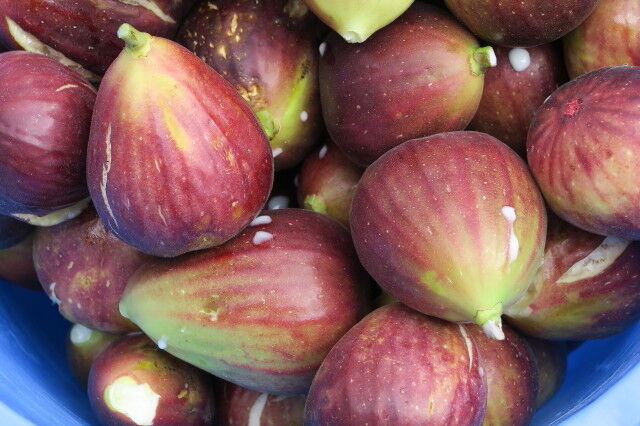 無花果ジャム 家庭菜園とマイフォト