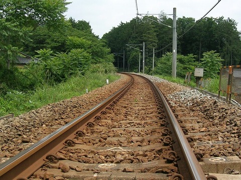 【迷惑】東海道線で人身事故発生→止まっている電車の中にいる客が勝手にドアコックを開け、外に飛び出る→線路内に立ち入った人が行方不明→運転再開できましぇーん