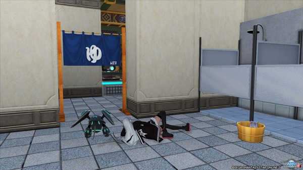 pso20180216_021903_003